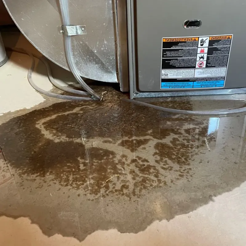Pipe Burst and Leak Restoration in Lewiston, UT